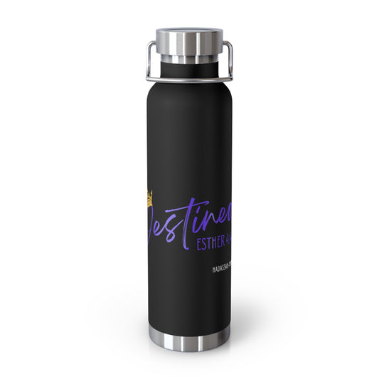 Destined 22oz Vacuum Insulated Bottle